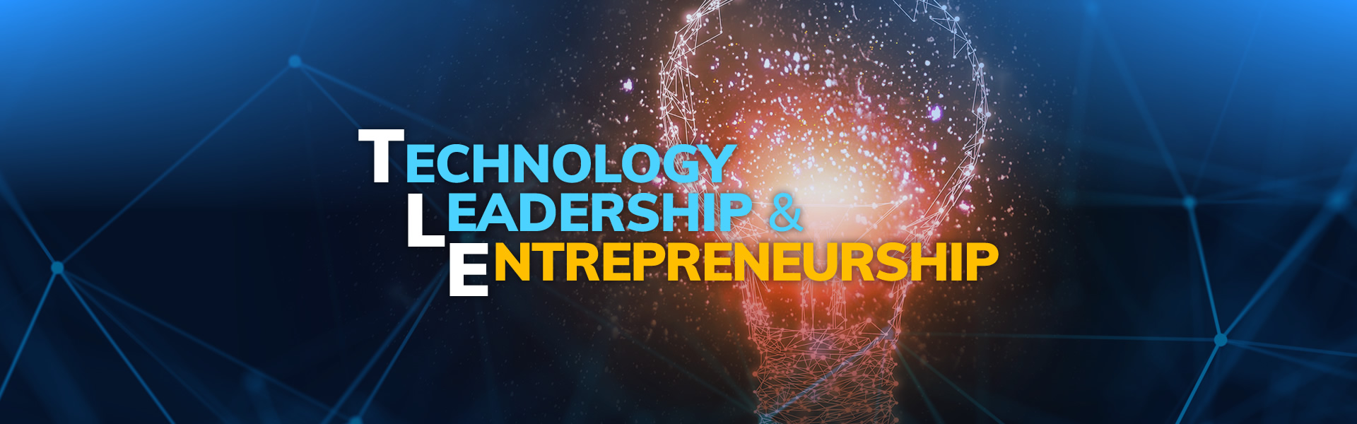 Technology Leadership and Entrepreneurship
