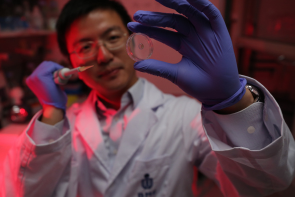 Prof Fei Sun and the new protein-based hydrogel developed by his team.